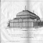 A picture of Giacomo Roster's tepidarium (greenhouse).